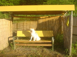 �~�q�̓��L