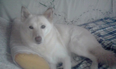 �~�q�̓��L