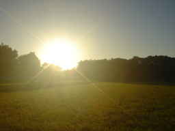 �~�q�̓��L