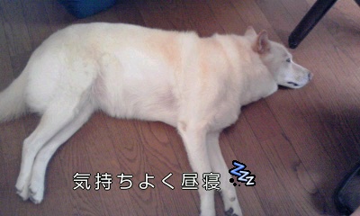 �~�q�̓��L