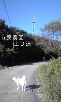 �~�q�̓��L