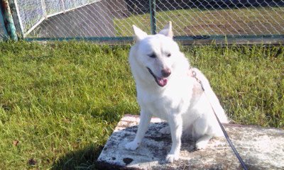 �~�q�̓��L