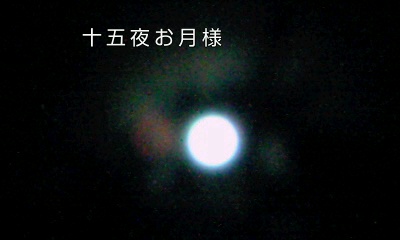 �~�q�̓��L