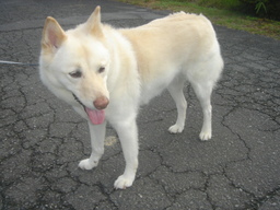 �~�q�̓��L