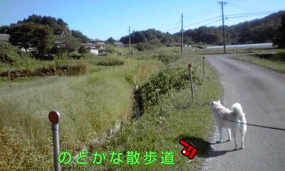 �~�q�̓��L