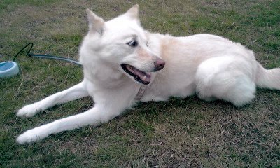 �~�q�̓��L