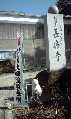 �~�q�̓��L