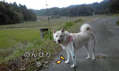 �~�q�̓��L