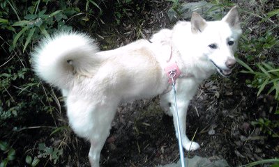 �~�q�̓��L