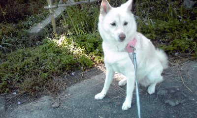 �~�q�̓��L