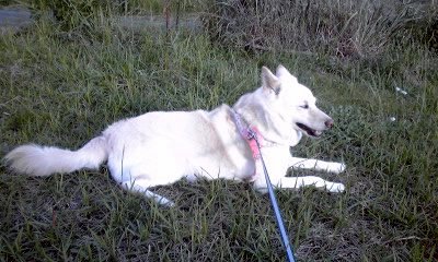 �~�q�̓��L