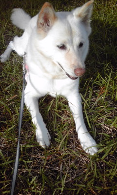 �~�q�̓��L