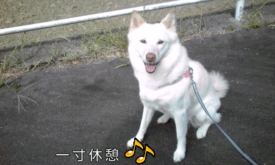 �~�q�̓��L