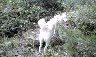 �~�q�̓��L