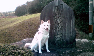 �~�q�̓��L