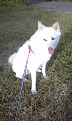 �~�q�̓��L