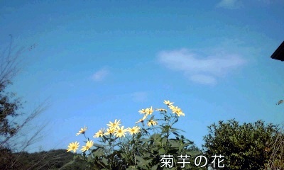 �~�q�̓��L