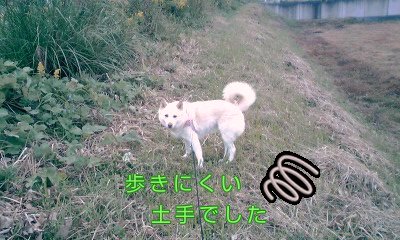 �~�q�̓��L