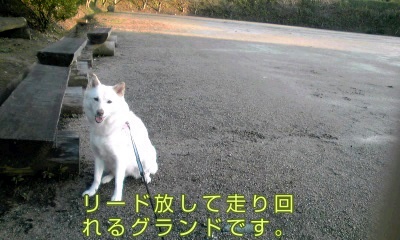 �~�q�̓��L