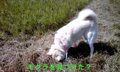 �~�q�̓��L