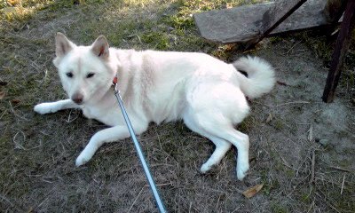 �~�q�̓��L