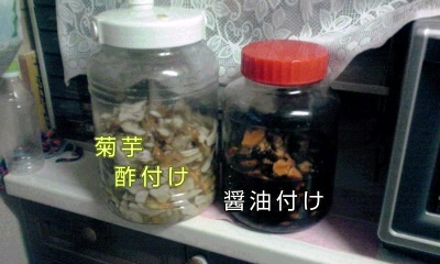 �~�q�̓��L