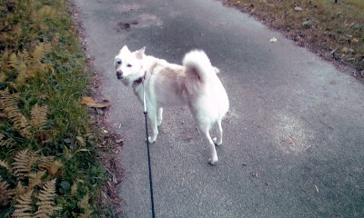 �~�q�̓��L