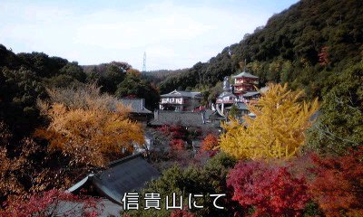 �~�q�̓��L