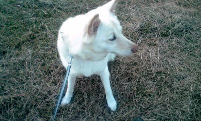 �~�q�̓��L