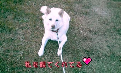 �~�q�̓��L