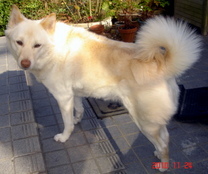 �~�q�̓��L