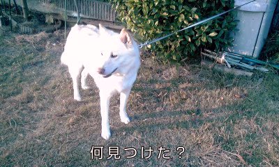 �~�q�̓��L