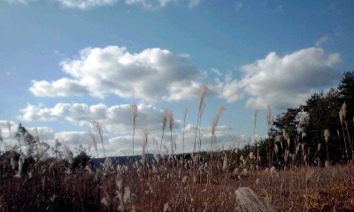 �~�q�̓��L