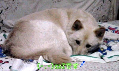 �~�q�̓��L