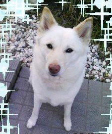 �~�q�̓��L