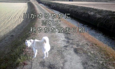 �~�q�̓��L