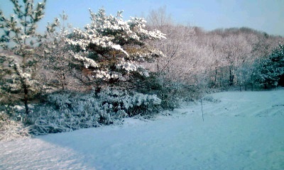 �~�q�̓��L