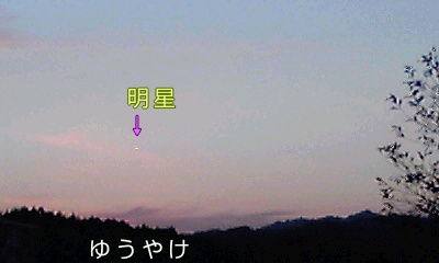 �~�q�̓��L