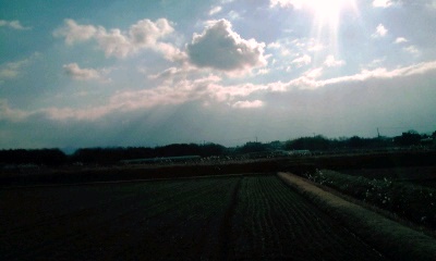 �~�q�̓��L