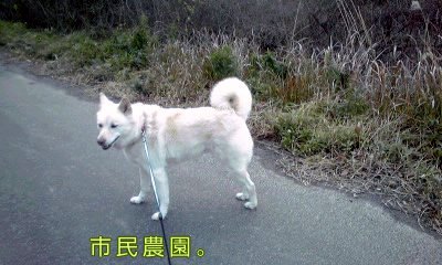 �~�q�̓��L