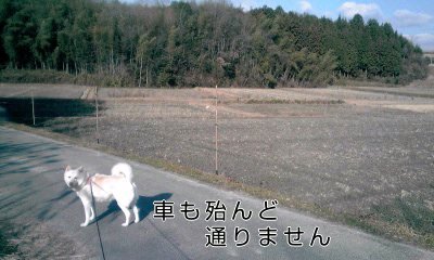 �~�q�̓��L