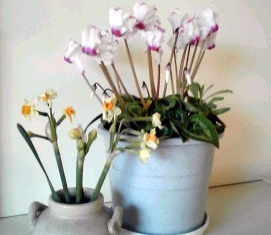 �~�q�̓��L