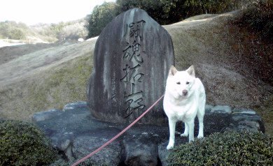 �~�q�̓��L