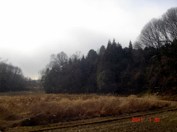 �~�q�̓��L