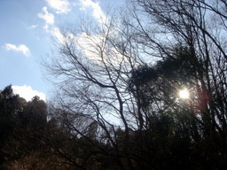 �~�q�̓��L