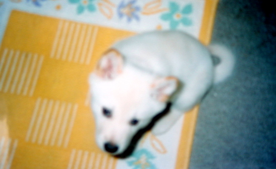 �~�q�̓��L