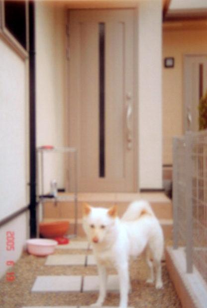 �~�q�̓��L