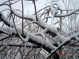 �~�q�̓��L