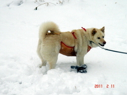 �~�q�̓��L