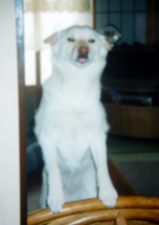 �~�q�̓��L